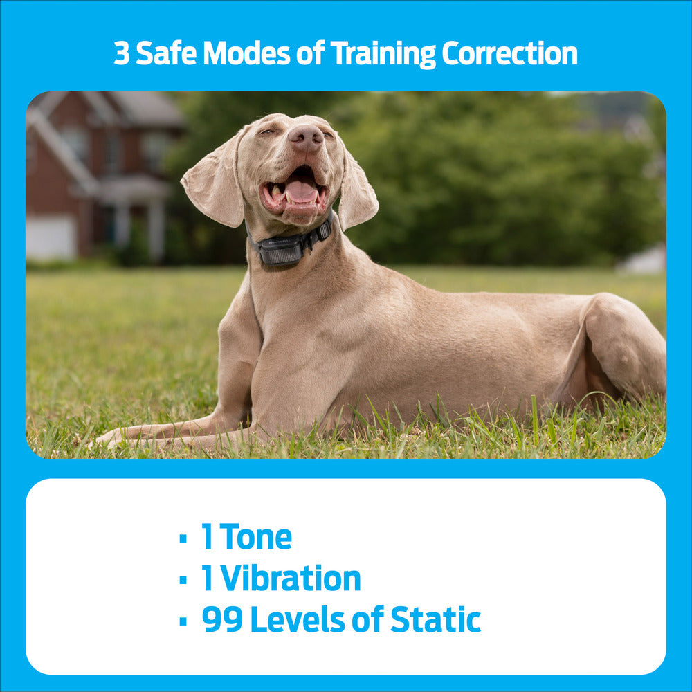 Premier Pet 600 Yard Remote Trainer