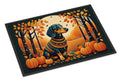 Decorative mat with a dachshund in a sweater and pumpkins in an autumn forest design.