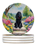 Cocker Spaniel Spring Path Large Sandstone Coasters Pack of 4